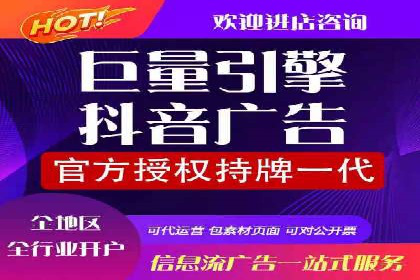 推广竞价策略优化：借鉴成功案例实现精准营销